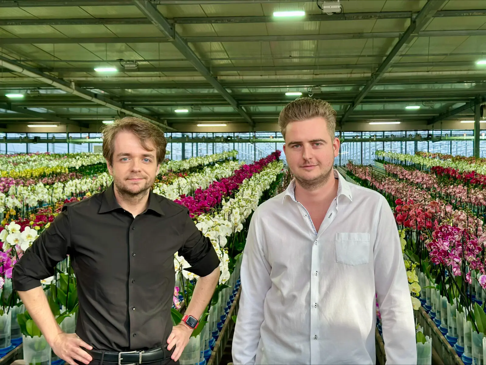 twee mannen in een bloemenkas